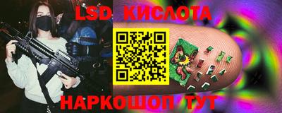 СК Новодвинск
