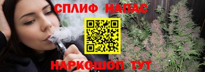 СК Новодвинск