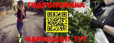 кокаин Новозыбков