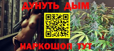 СК Новодвинск