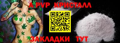 СК Новодвинск